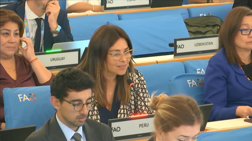 Ministra Canales reafirma ante la FAO el compromiso del Perú para reducir todas las formas de malnutrición